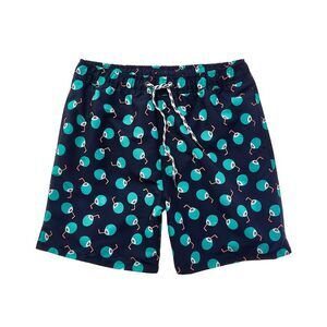 Snapper Rock Mens  Coco Loco Volley Board Short, Blue